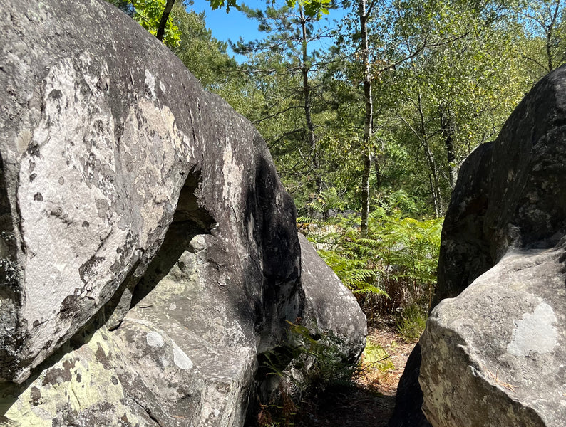 The Completely Non-Comprehensive Guide to Fontainebleau Bouldering